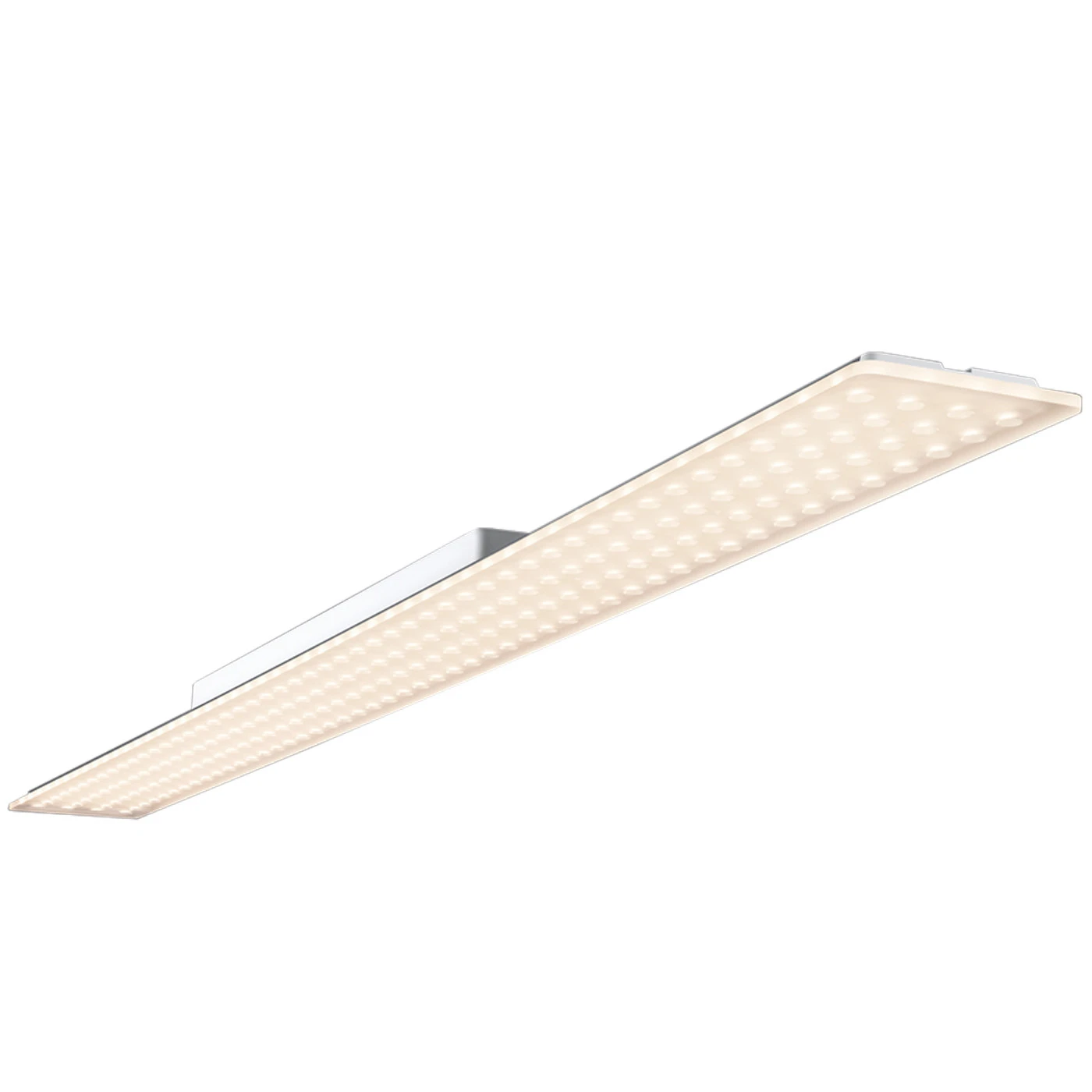 Nimbus Modul L 196 Aufbau 3 Nimbus Modul L 196 Aufbau