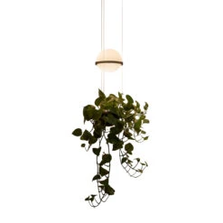 Vibia Palma 3724 Pendelleuchte