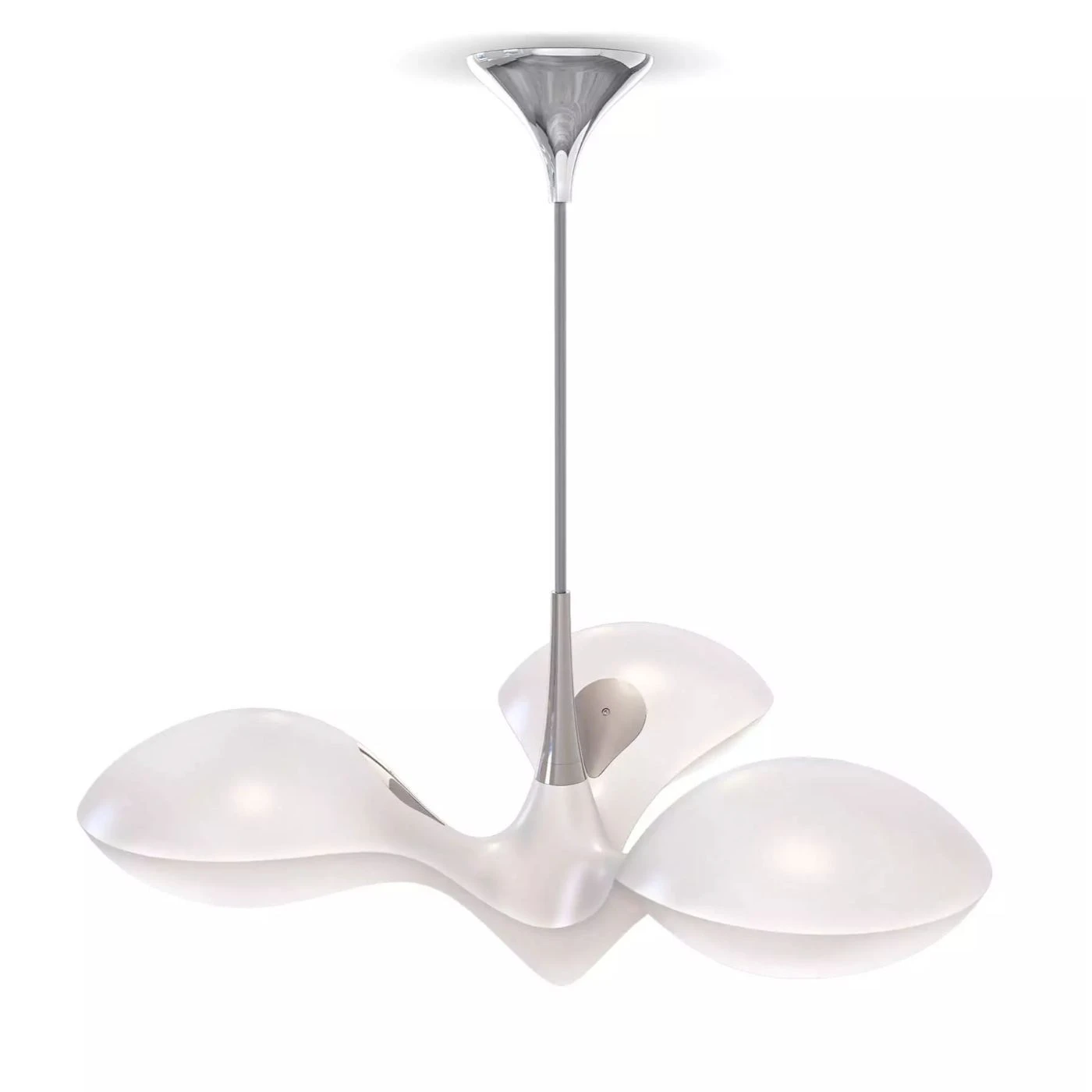 Next Enterprise PL 3 Next Enterprise PL