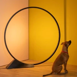 Artemide "O" Floor Indoor -Helles Licht 002 Artemide O Floor indoor ambient2 a17b8560c778dc53b94a8fa032ff6b9e