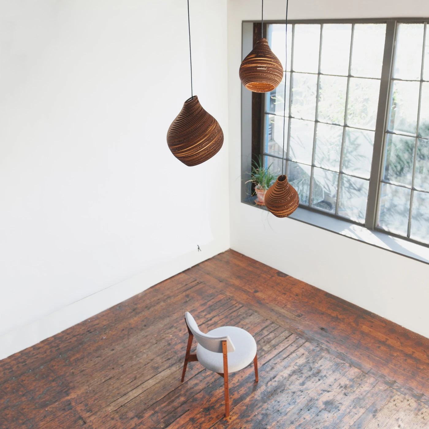 Graypants Hive9 4 Graypants Hive9 – Bild 2