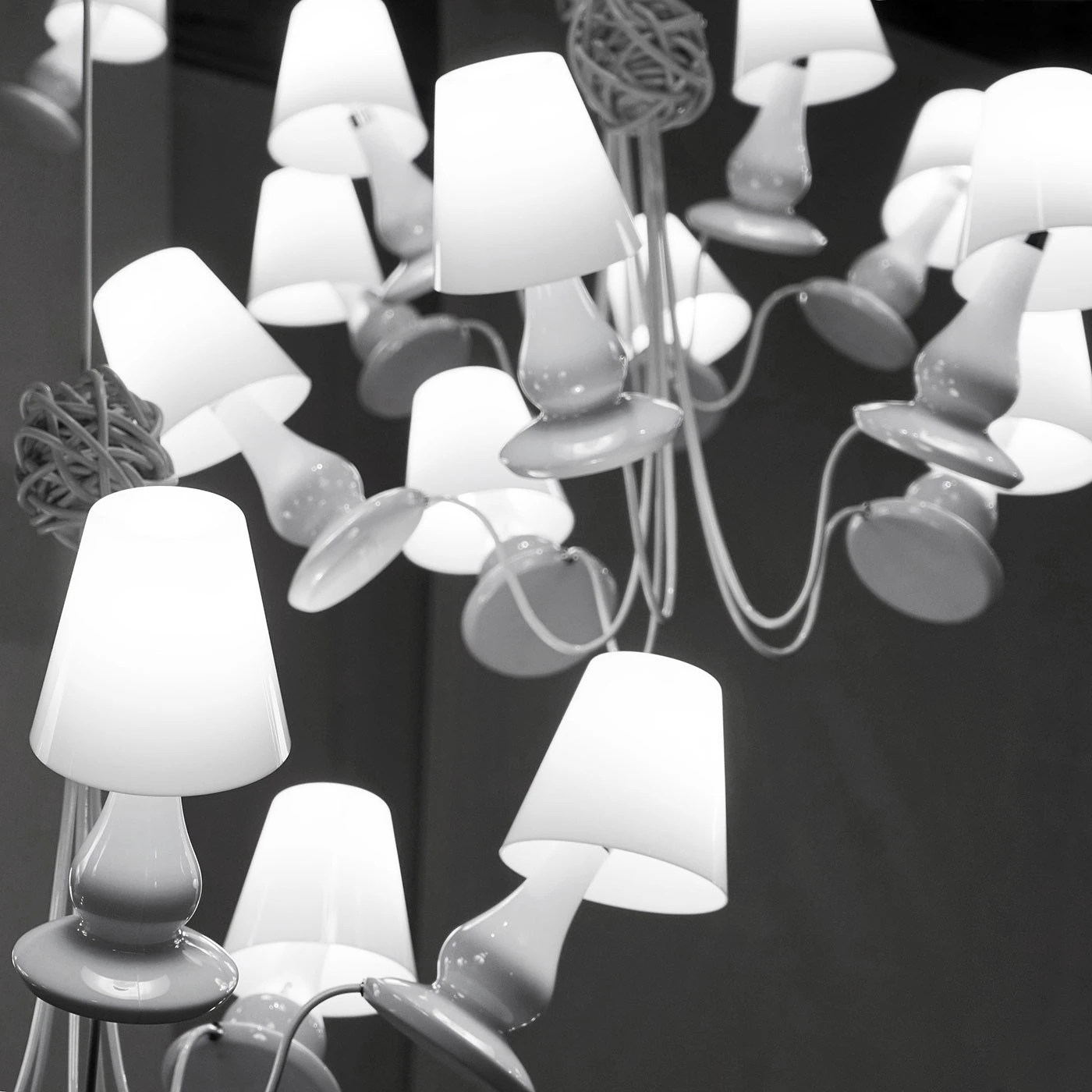 Next FlapFlap 5PL 4 Next FlapFlap 5PL – Bild 2