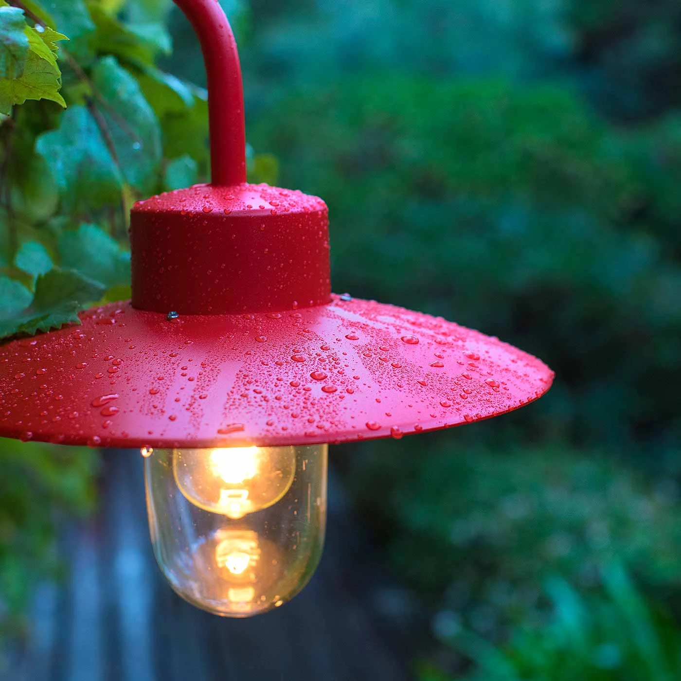 Roger Pradier Belcour N°9 Klarglas 4 Roger Pradier Belcour N°9 Klarglas – Bild 2