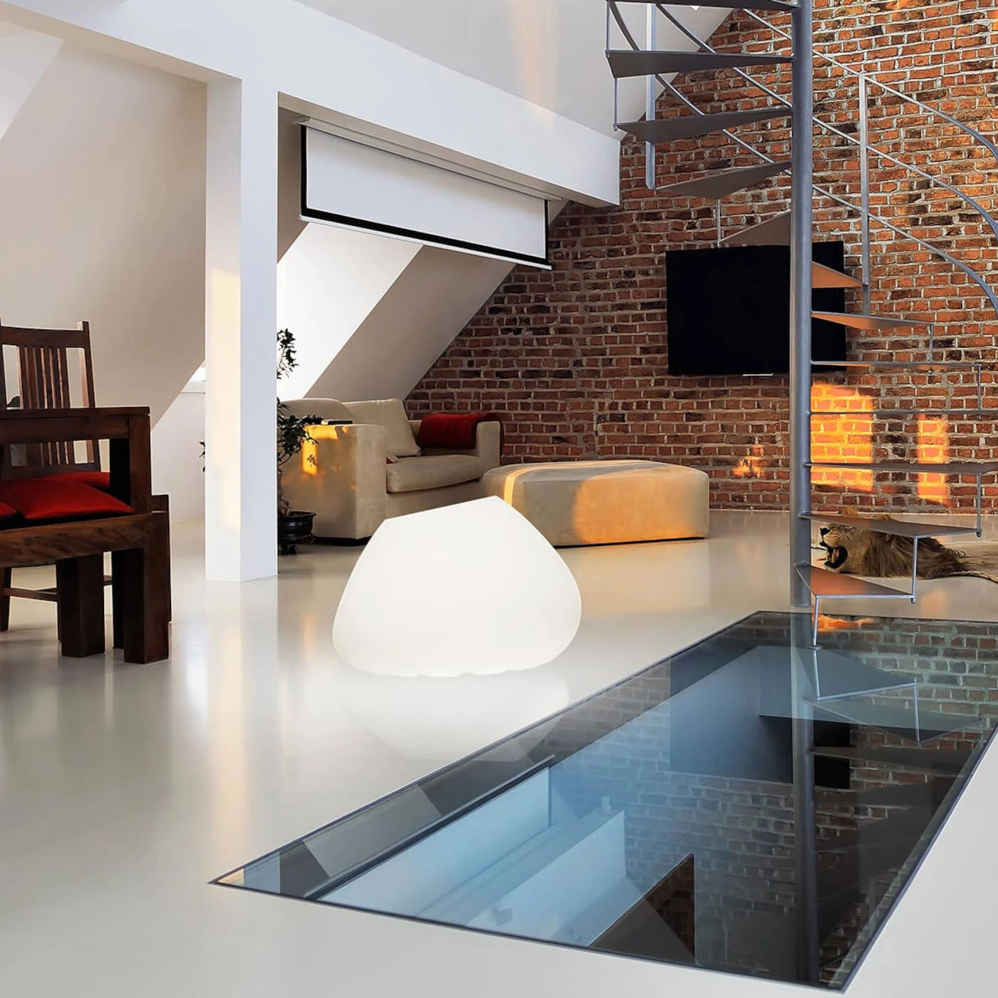 Panzeri Potter Terra 7 Panzeri Potter Terra – Bild 5