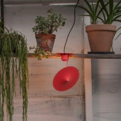 Wästberg W153 Île 13 Wästberg W153 Île -Helles Licht 002 waestberg w153 ile ambient3 63f050e9f530ccca0193040ae83a0634