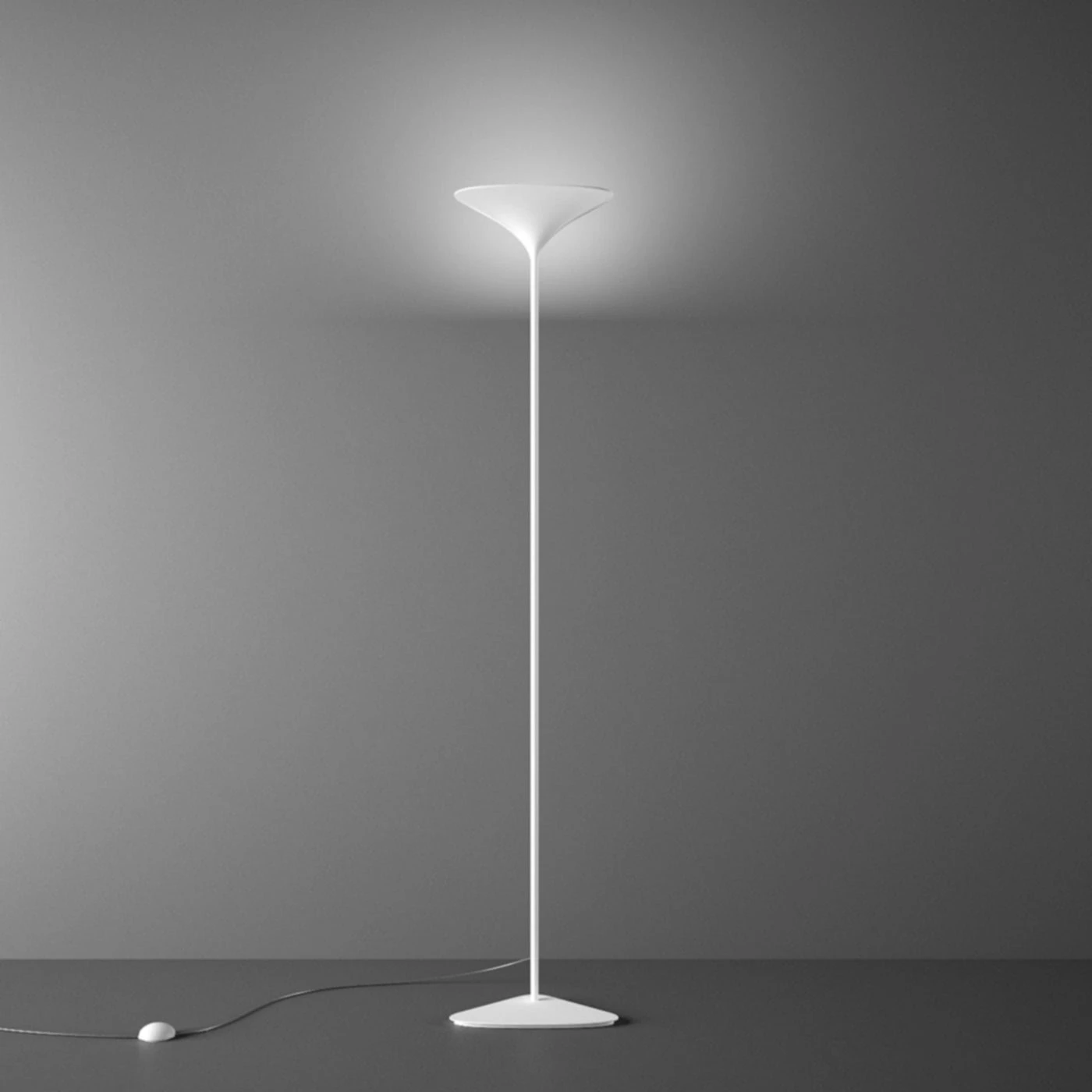 Rotaliana Sunset F1 5 Rotaliana Sunset F1 – Bild 3