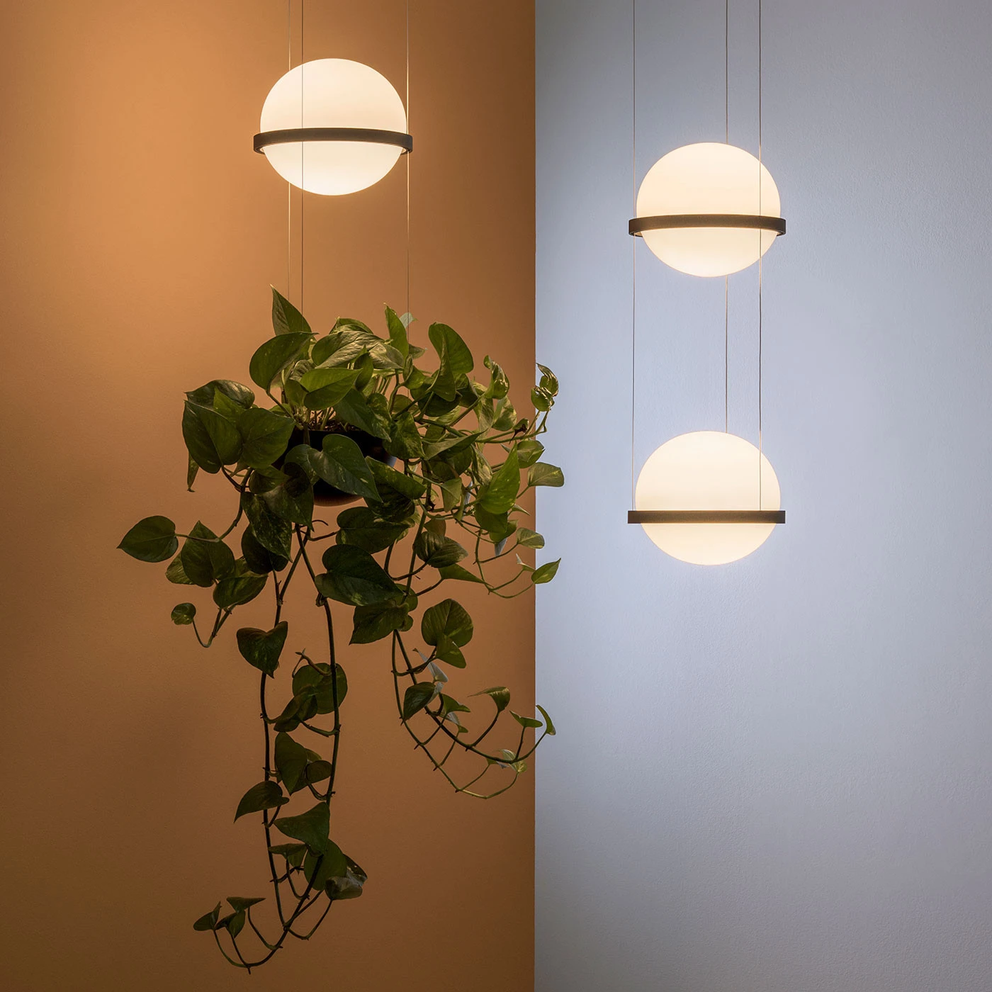 Vibia Palma 3724 Pendelleuchte 6 Vibia Palma 3724 Pendelleuchte – Bild 4