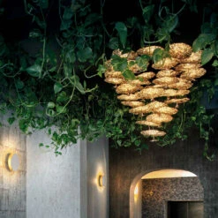Catellani & Smith Gold Moon Chandelier 11 Catellani & Smith Gold Moon Chandelier -Helles Licht 006 Catellani Smith Gold Moon Chandelier Pendel 116079 gold f55dec0ce59ac5ab6f5b7cd3f6d8a16b