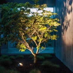 IP44.de Shot Connect + Shot Tee -Helles Licht 007 IP44de Shot Connect Tee ambient02 116445 schwarz b04561e7a0bf9d0a3ba898e1612dbc20