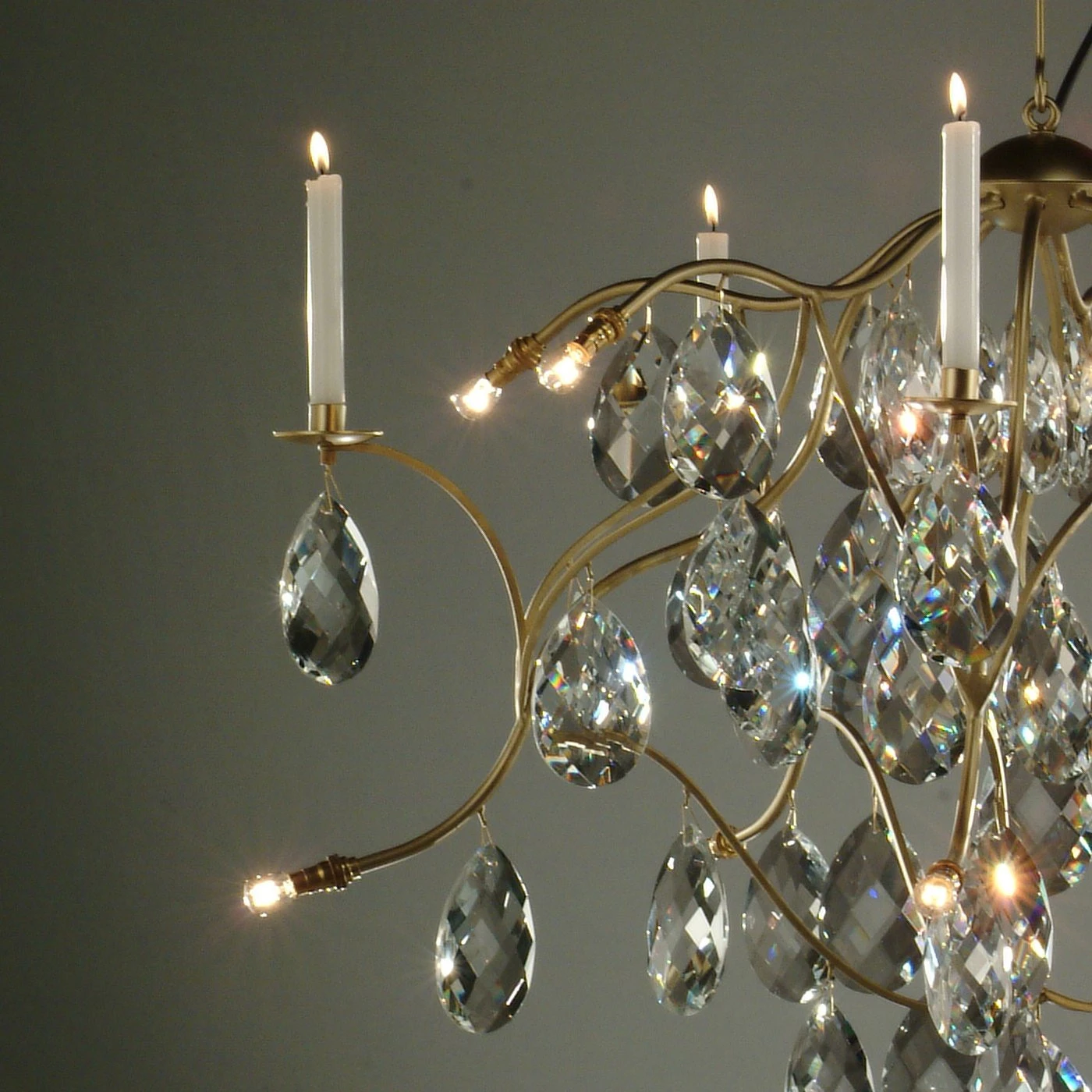 Anthologie Quartett Jahreszeiten Eiszeit 90 9 Anthologie Quartett Jahreszeiten Eiszeit 90 – Bild 7