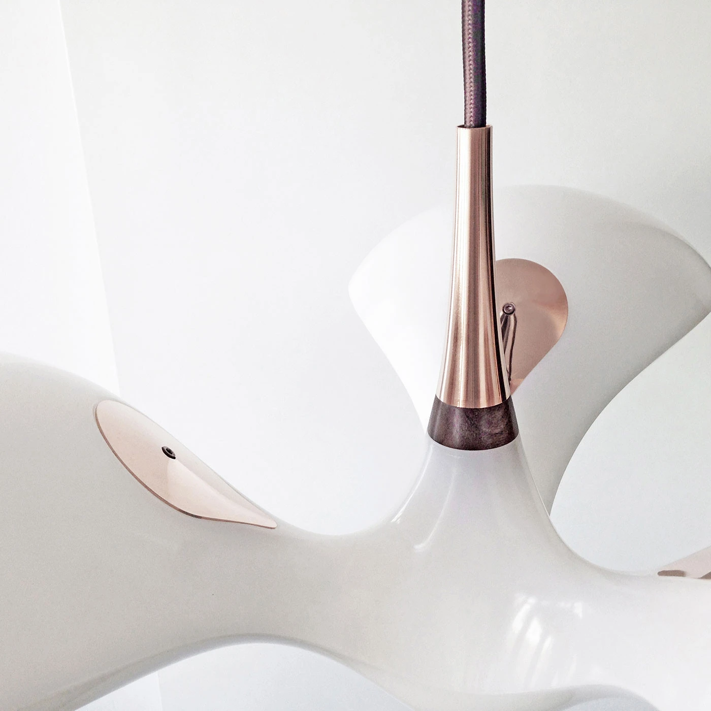 Next Enterprise PL 13 Next Enterprise PL – Bild 11