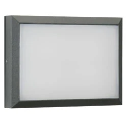 Albert Wand-/Deckenleuchte Typ 6403